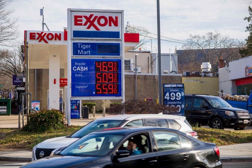 Gia dau bat ngo lao doc hinh anh