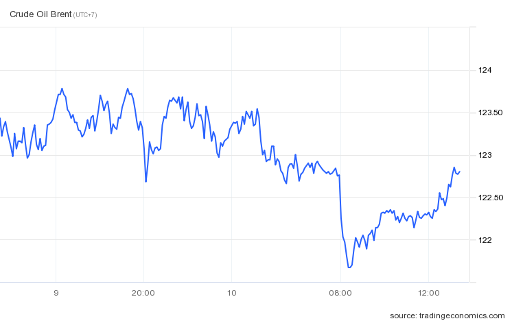 Gia dau the gioi anh 1