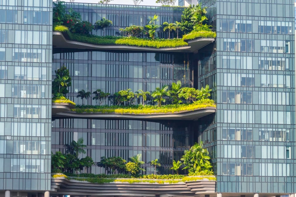 ty phu Singapore anh 2