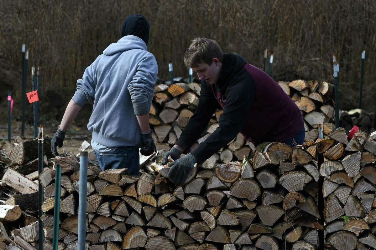 Nguoi My chuyen sang dot cui de suoi am hinh anh