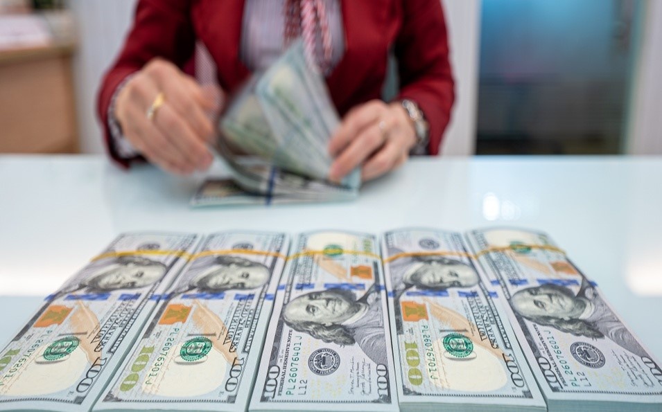 WB: 'Viet Nam co the can nhac noi bien do ty gia USD/VND hon nua' hinh anh