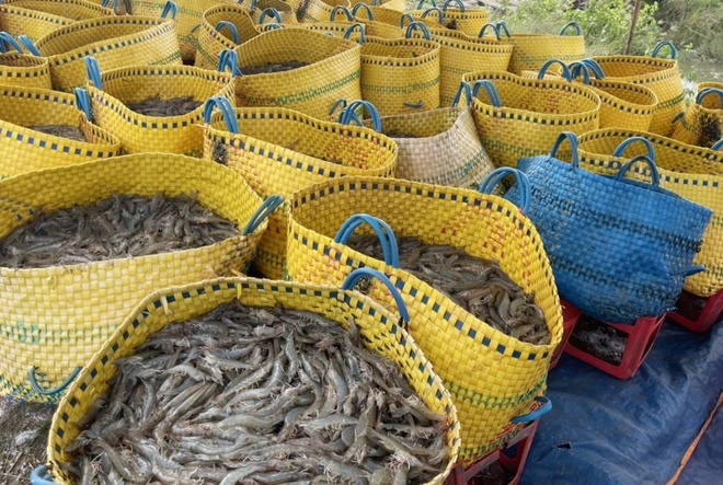 Viet Nam xuat sieu 10,6 ty USD tu dau nam hinh anh