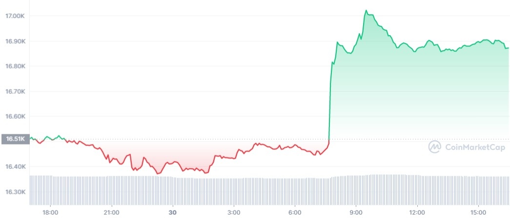 Bitcoin tang gia anh 1