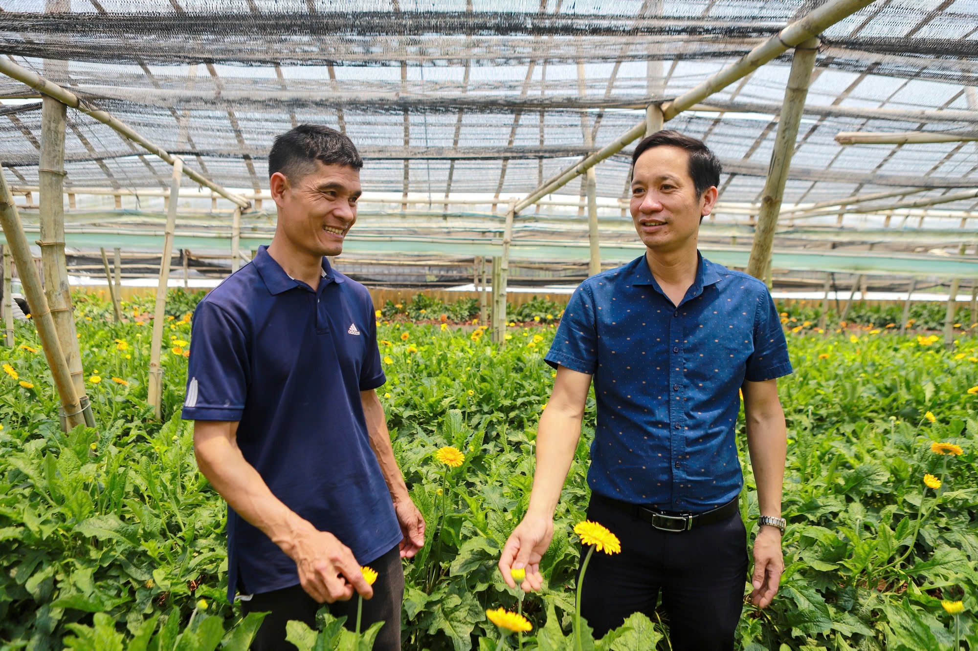 Chang nong dan 'keo' ca HTX cung lam giau bang hoa dong tien hinh anh