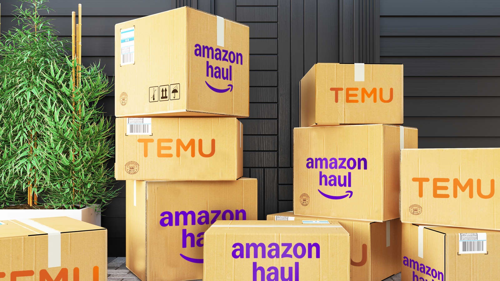 Amazon ra sao sau hon 1 thang doi dau Temu hinh anh