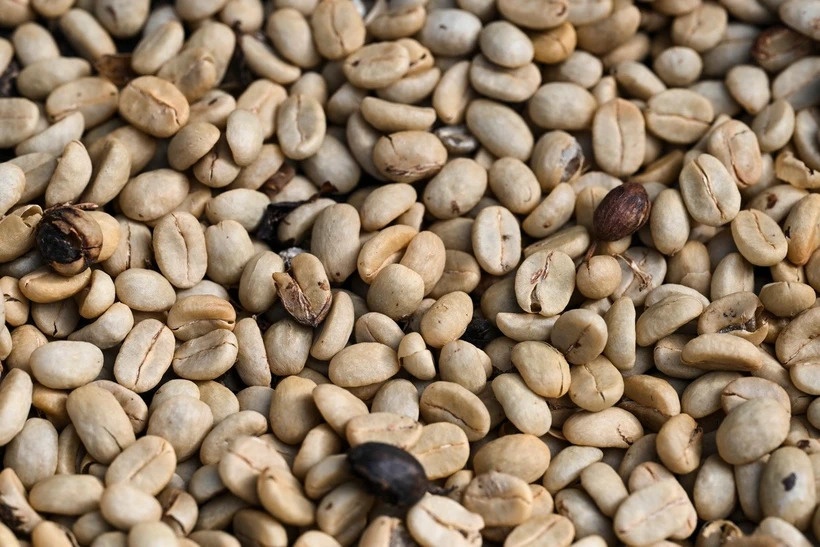 Gia ca phe the gioi cao ky luc gan 50 nam hinh anh