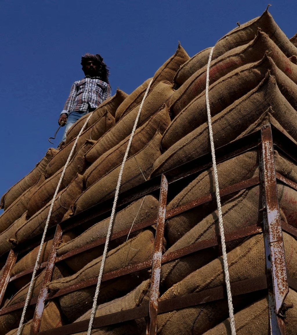 cang thang An Do Pakistan anh 1