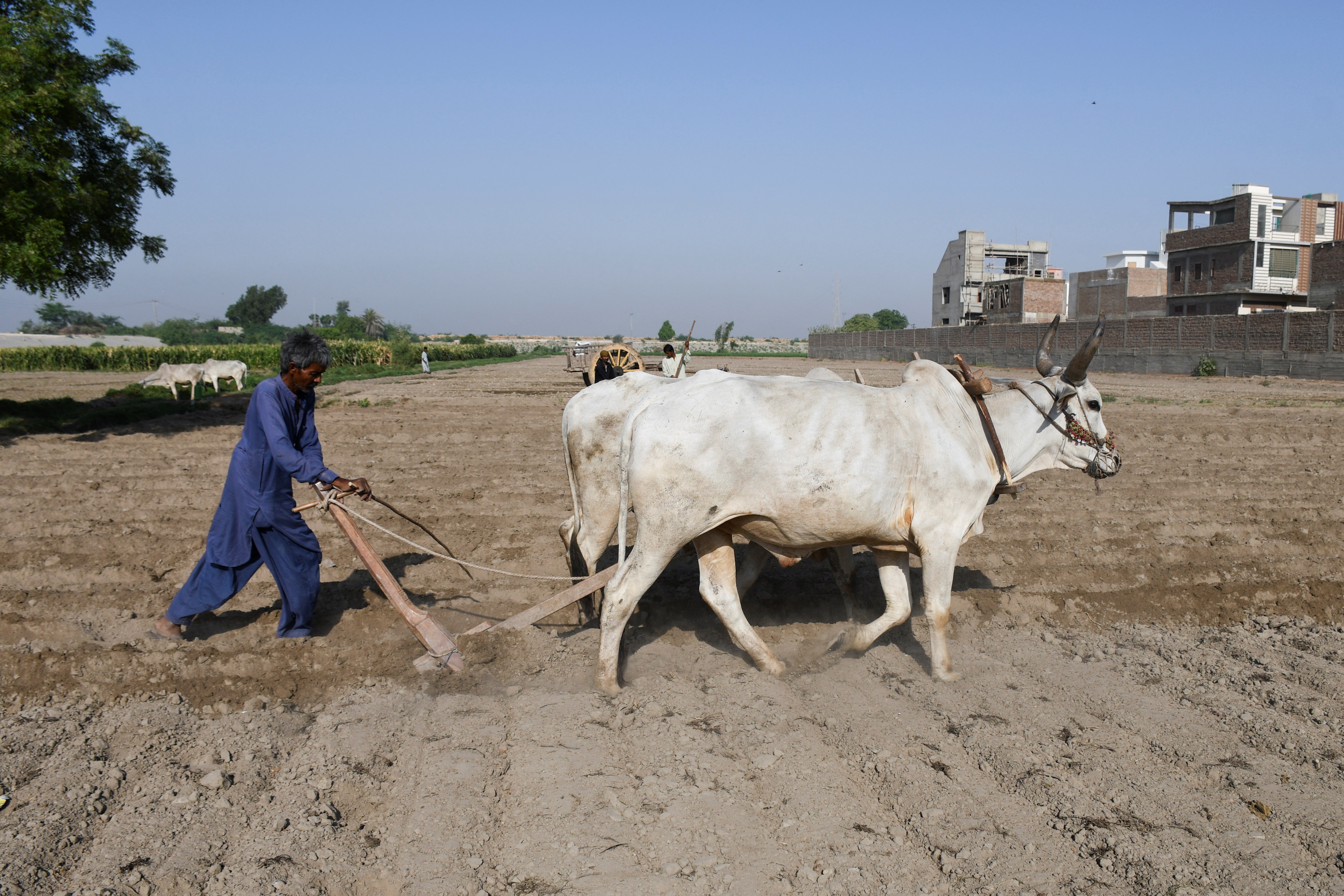 xung dot An Do Pakistan anh 3