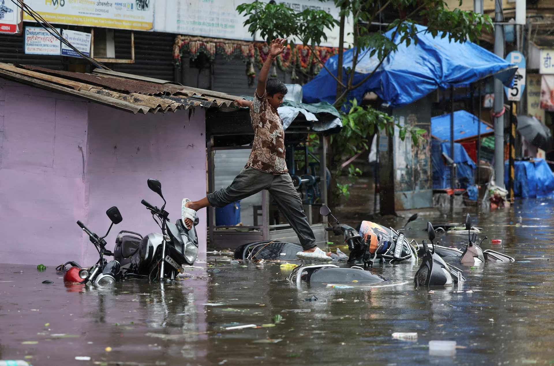 su kien tuan qua anh 3