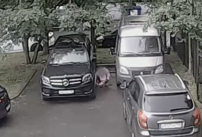 Video Nga bat nghi pham am sat theo lenh tu phia Ukraine hinh anh