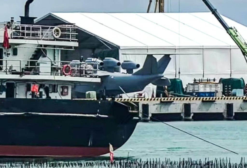 Trung Quoc trinh lang 'quai vat Bot Hai' hinh anh