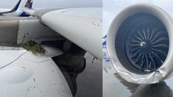 May bay Air India truot khoi duong bang giua mua lon hinh anh