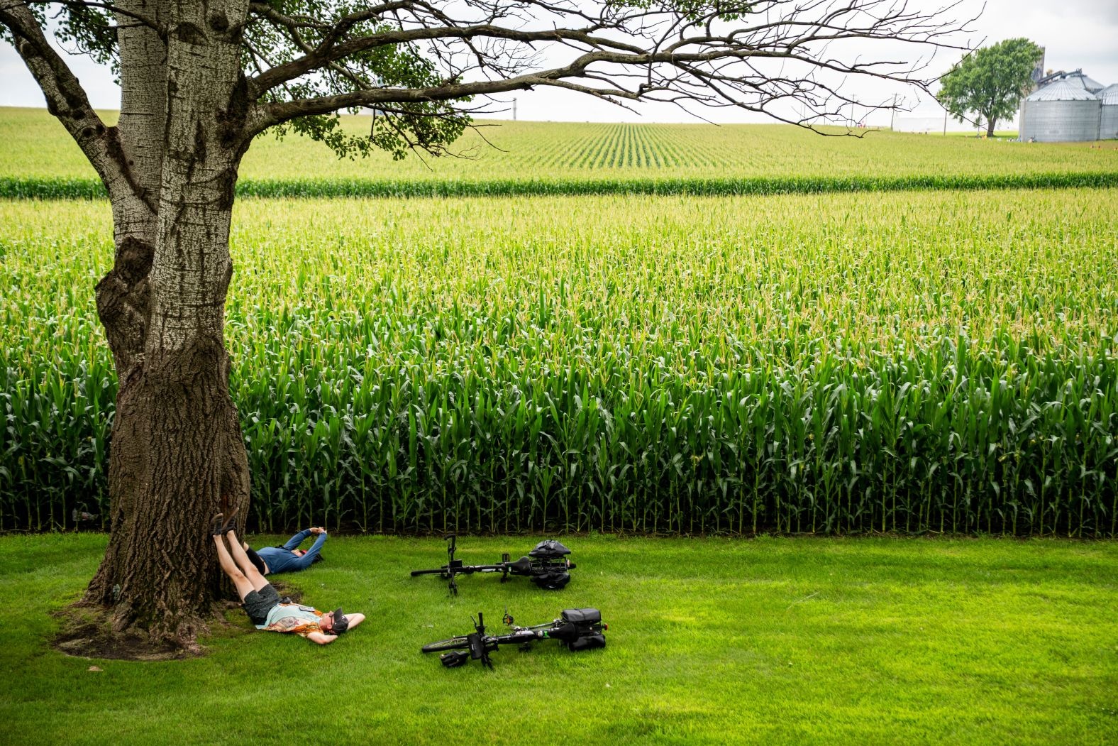 the gioi trong tuan anh 1