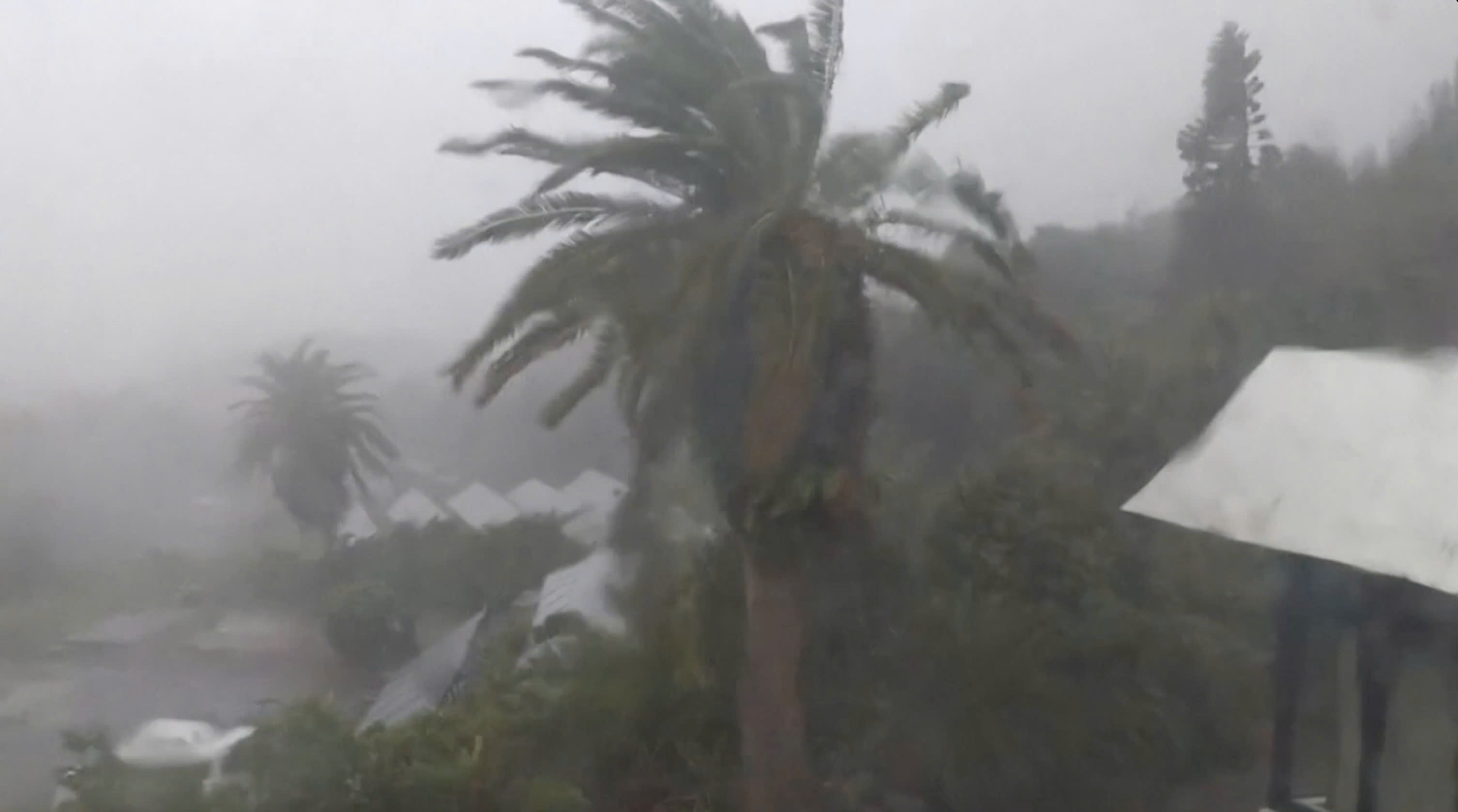 Sieu bao Ha Long quan thao quan dao Izu cua Nhat Ban hinh anh