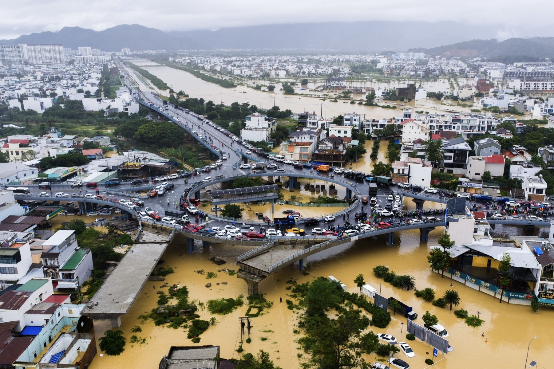 Dong Nam A chim trong lu du hinh anh