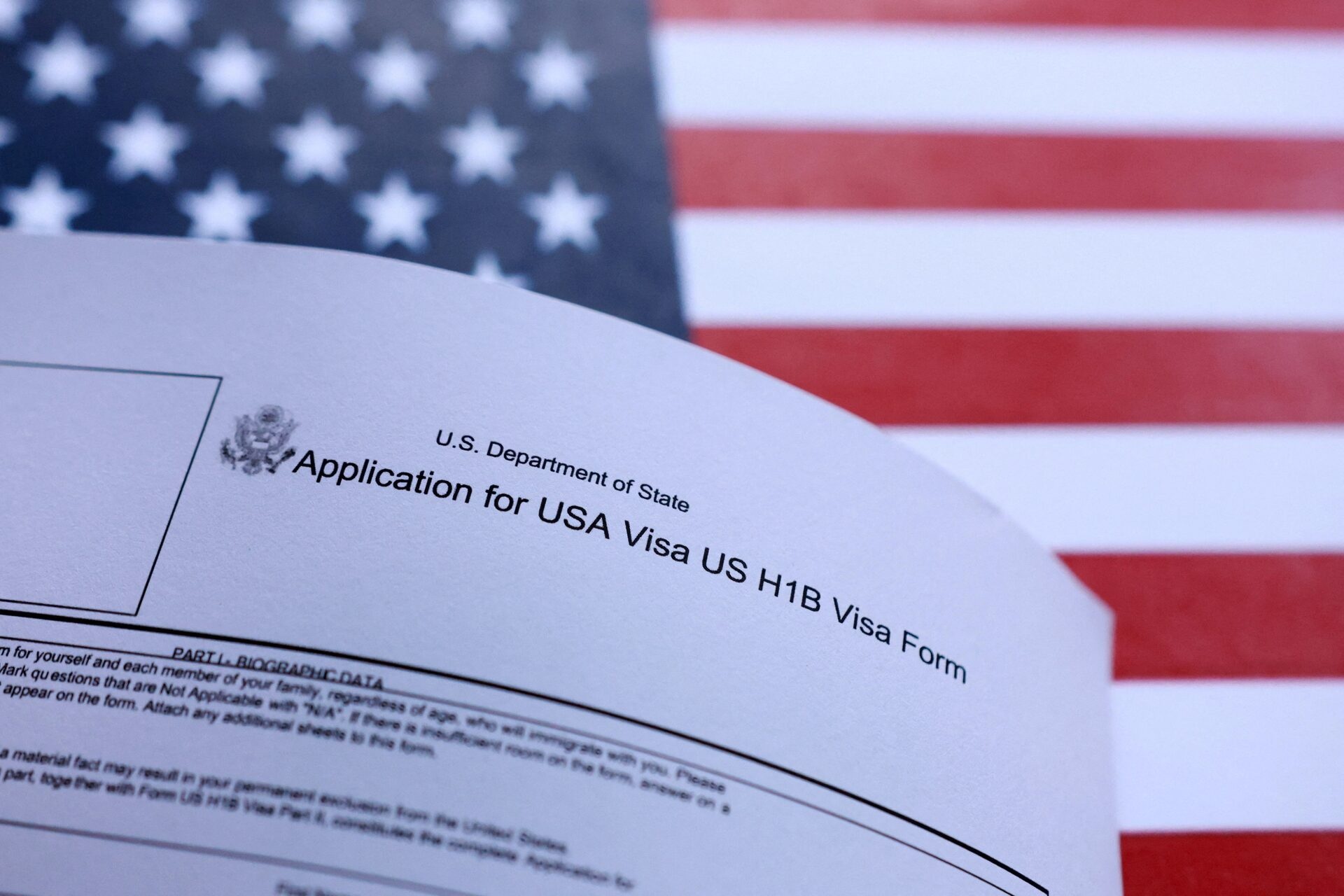 visa ảnh 2