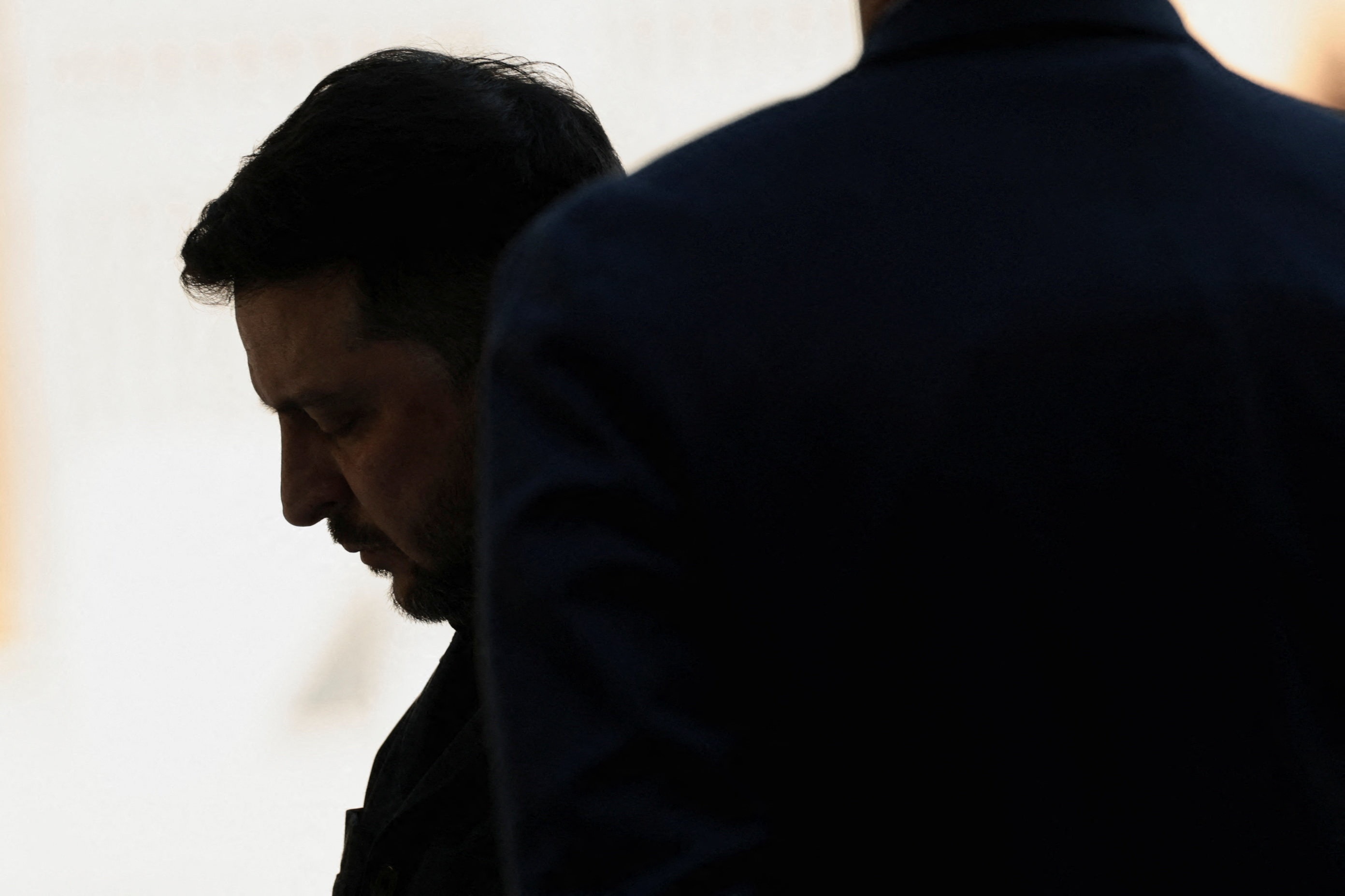 hoa dam Ukraine anh 1