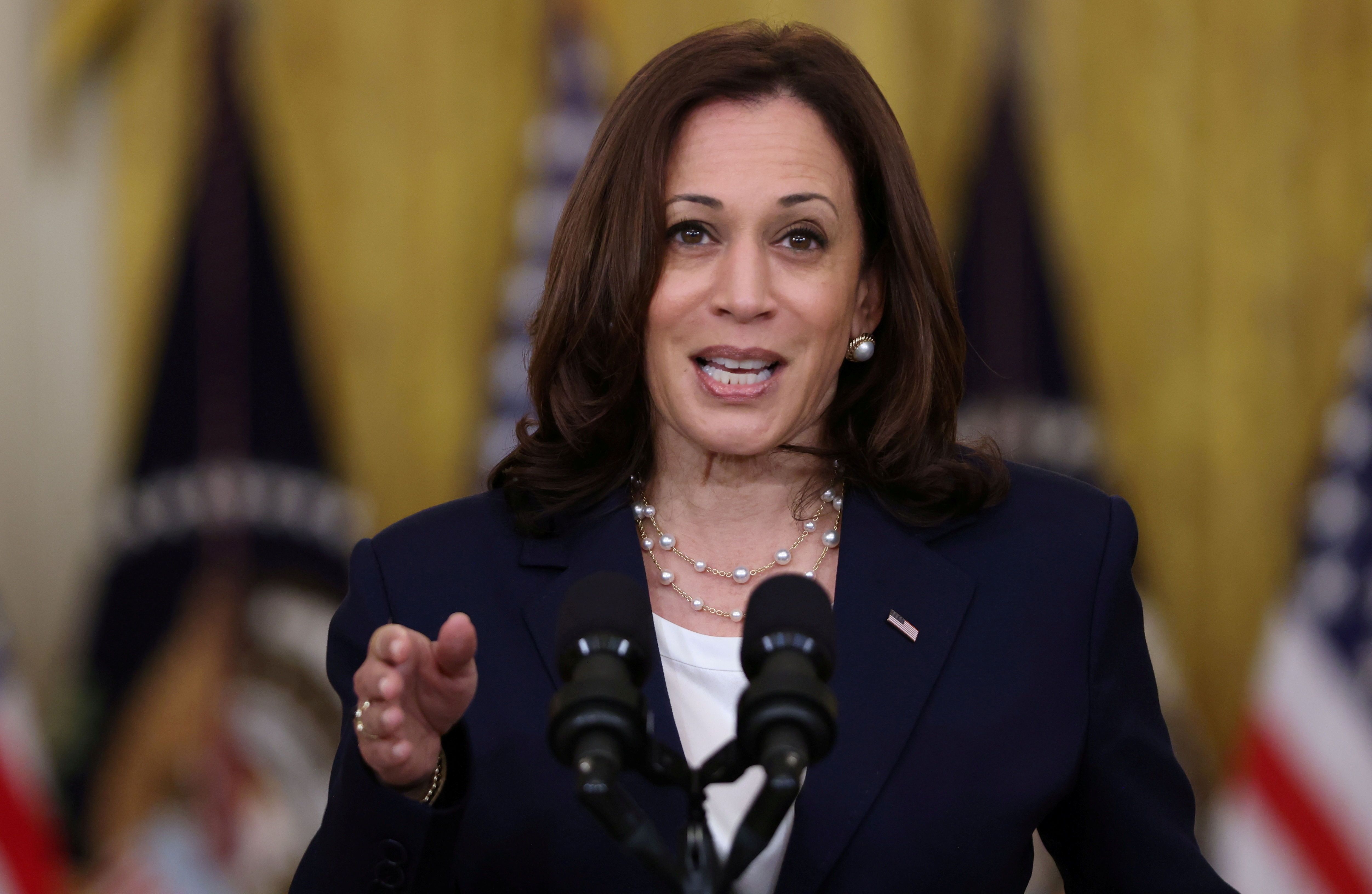 Ba Kamala Harris quay lai hinh anh