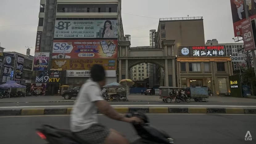 Lua dao truc tuyen o Dong Nam A bien tuong tinh vi hinh anh