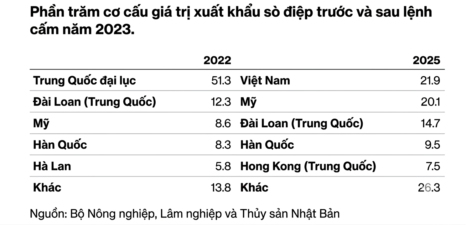 s&ograve; điệp ảnh 2