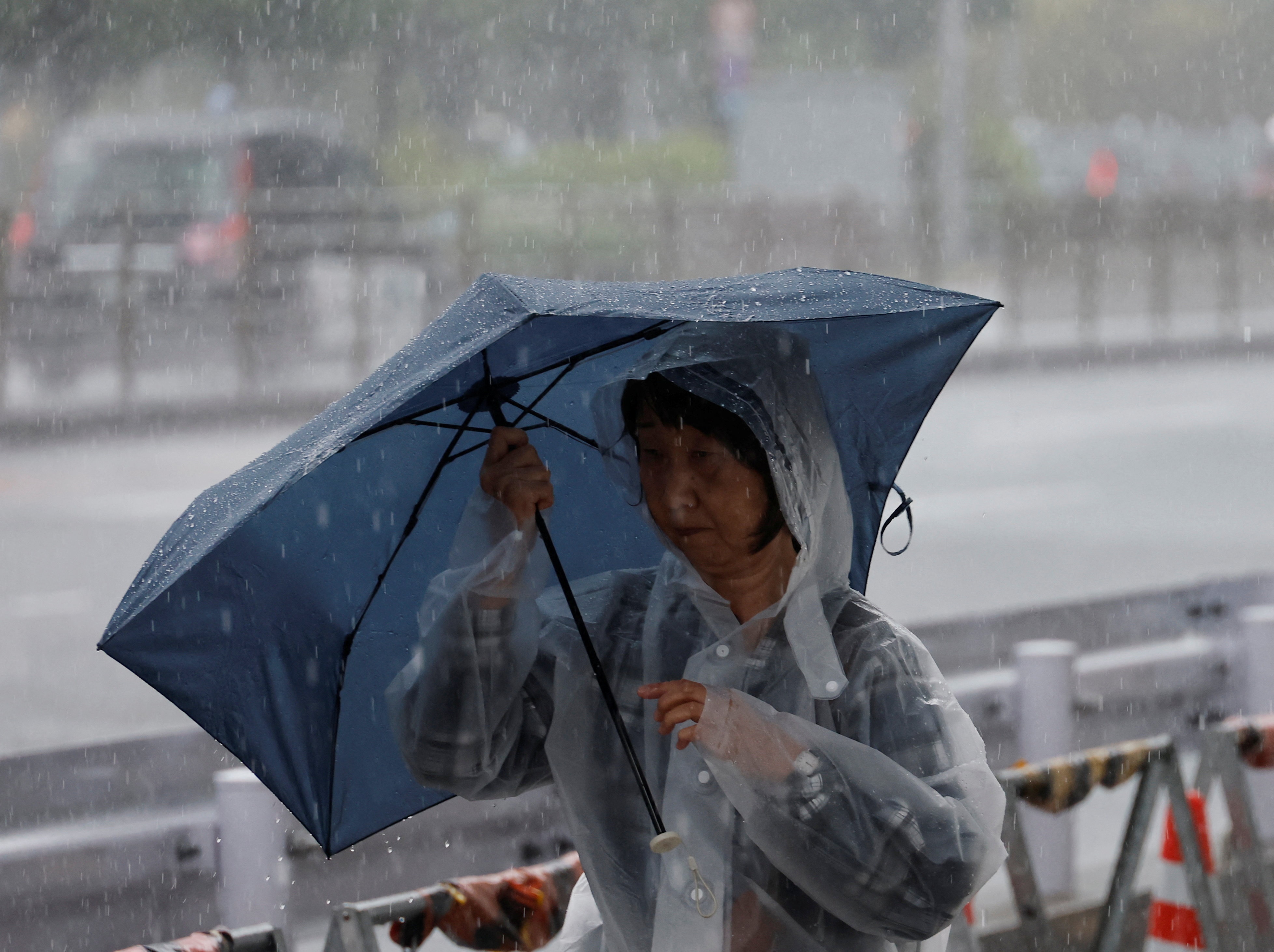 Bao Jangmi ap sat Tokyo, Nhat Ban hon loan hinh anh
