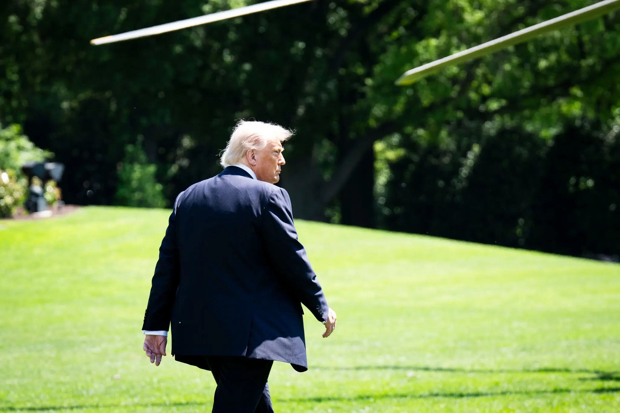 ong Trump anh 4