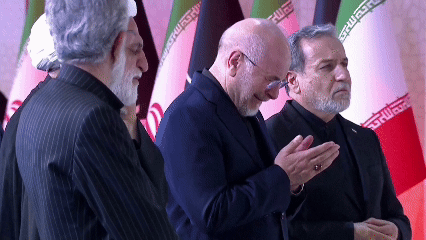 Chu tich Quoc hoi Iran bat khoc truoc linh cuu co Lanh tu Khamenei hinh anh