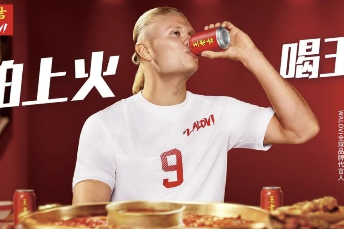 Erling Haaland ảnh 3