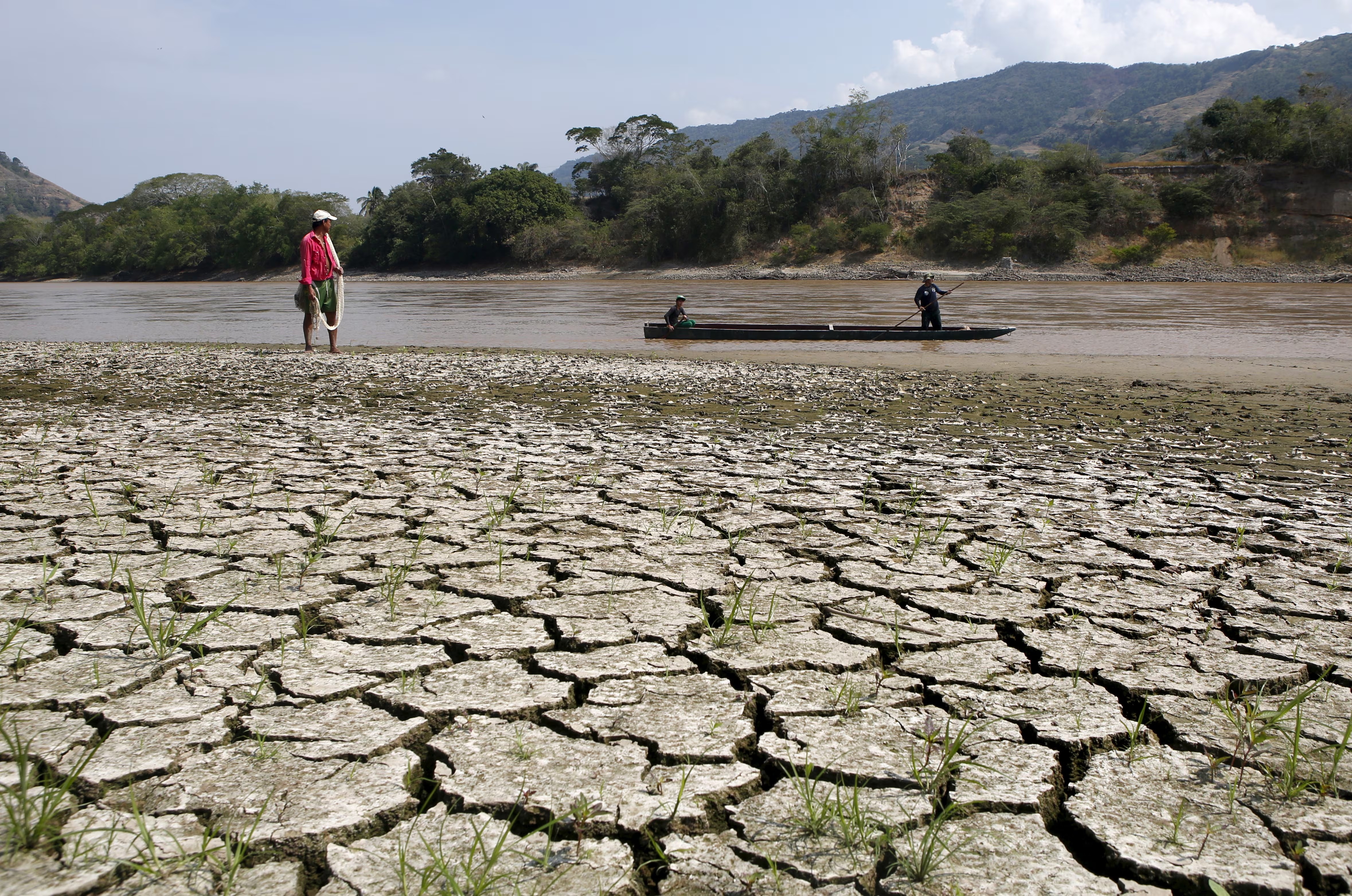 El Nino ảnh 1