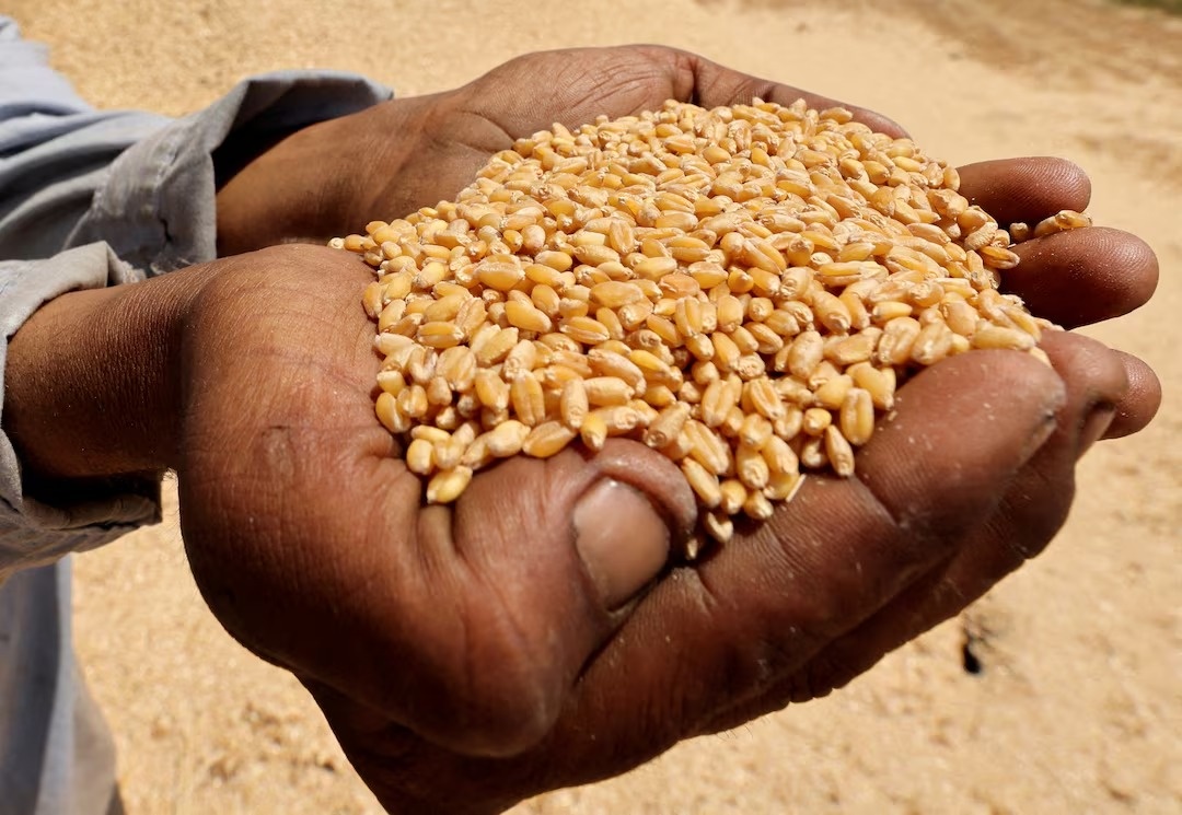 El Nino ảnh 3