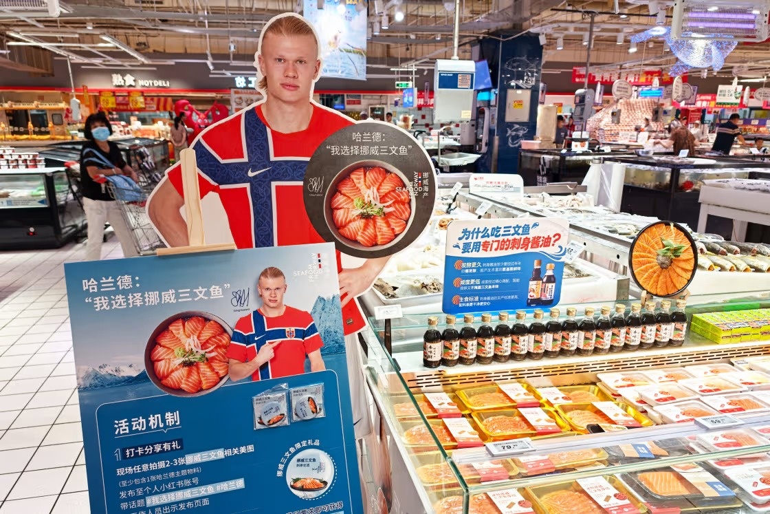 Erling Haaland ảnh 5