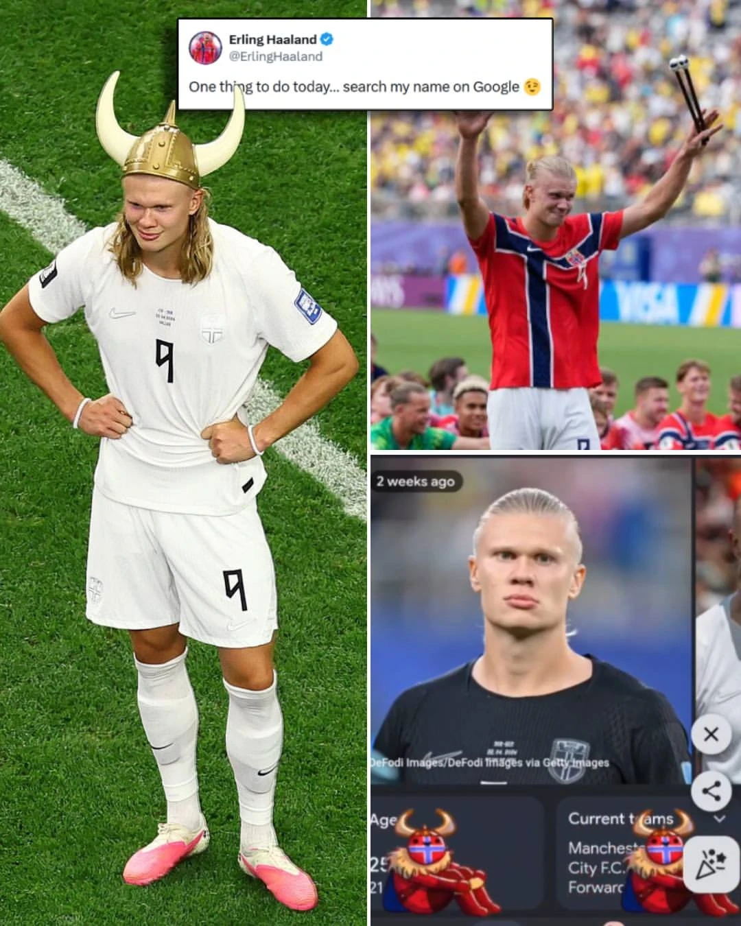 Erling Haaland ảnh 1