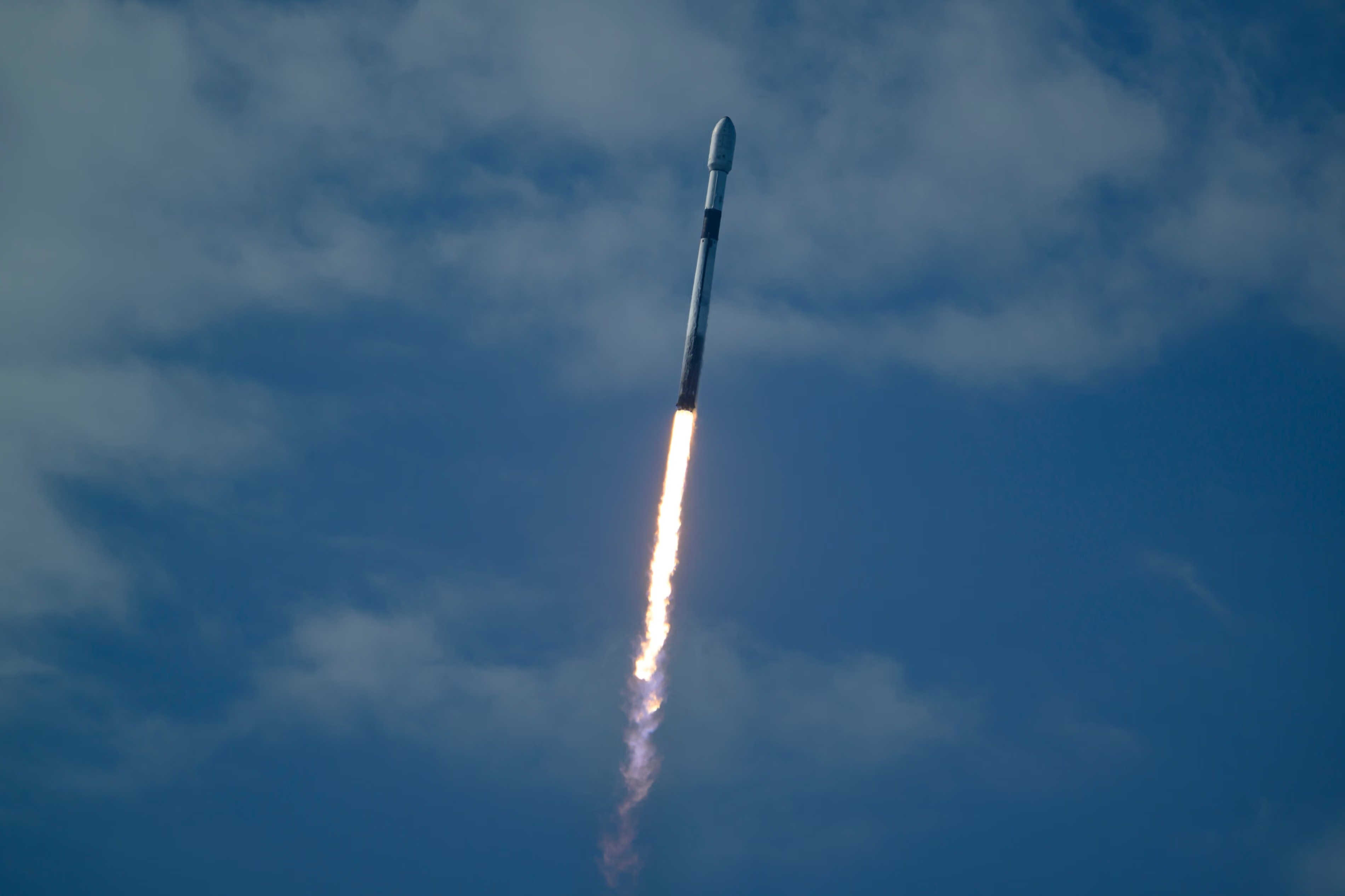 Elon Musk ảnh 1