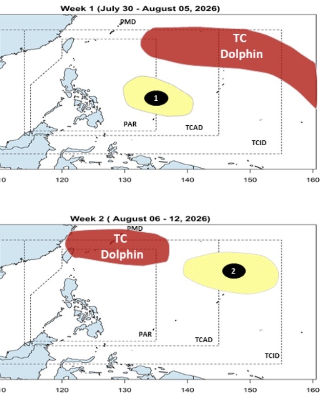 si&ecirc;u b&atilde;o Dolphin ảnh 2