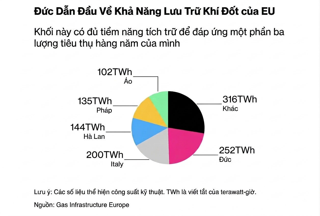 ch&acirc;u &Acirc;u ảnh 2