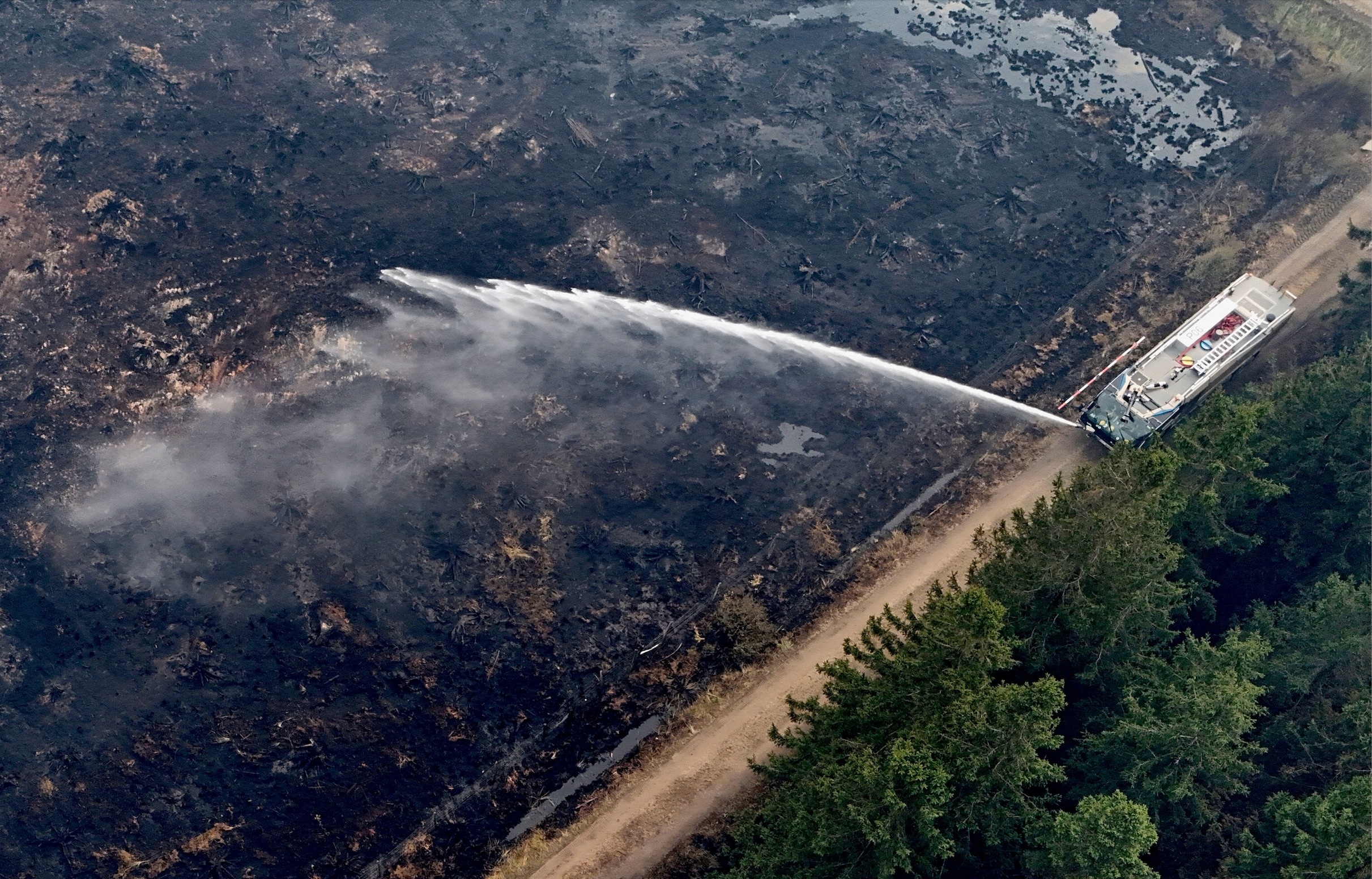 ch&aacute;y rừng ảnh 1