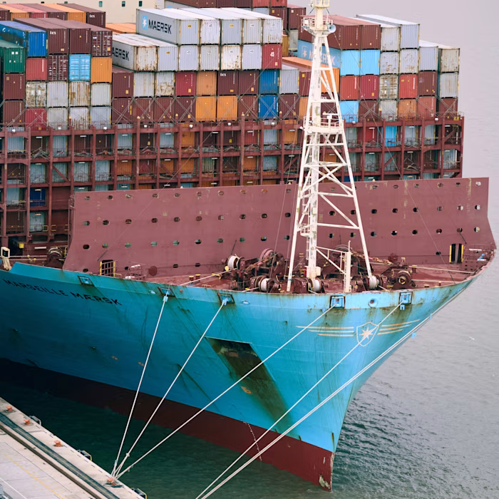 container ảnh 4 container ảnh 4