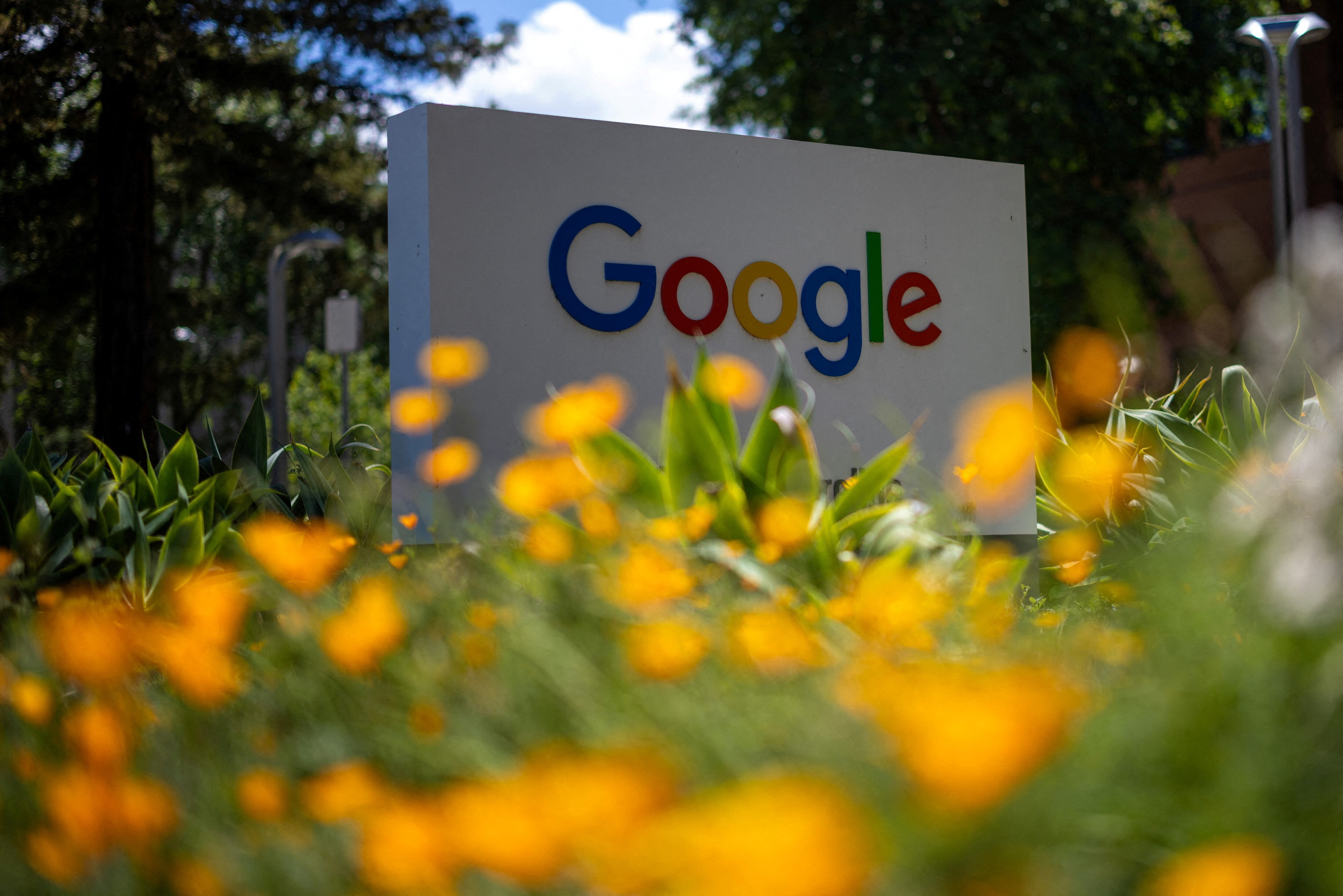 Google ảnh 1