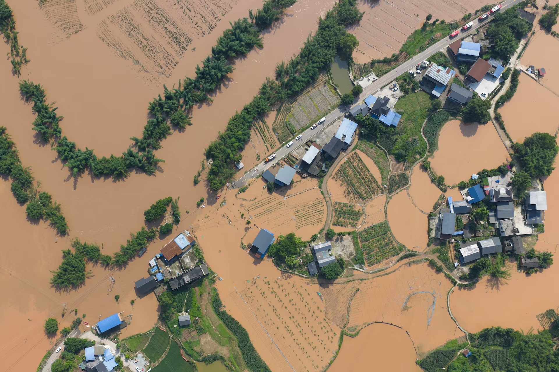 El Nino ảnh 1