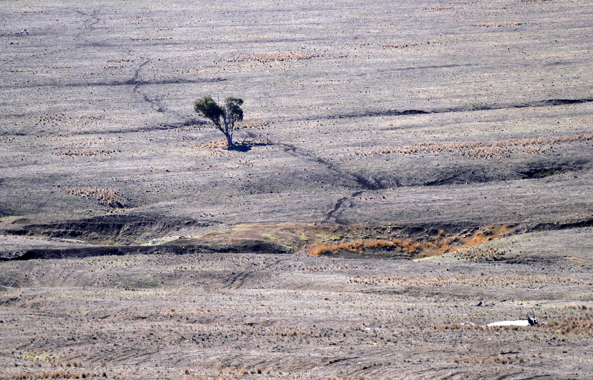 El Nino ảnh 4