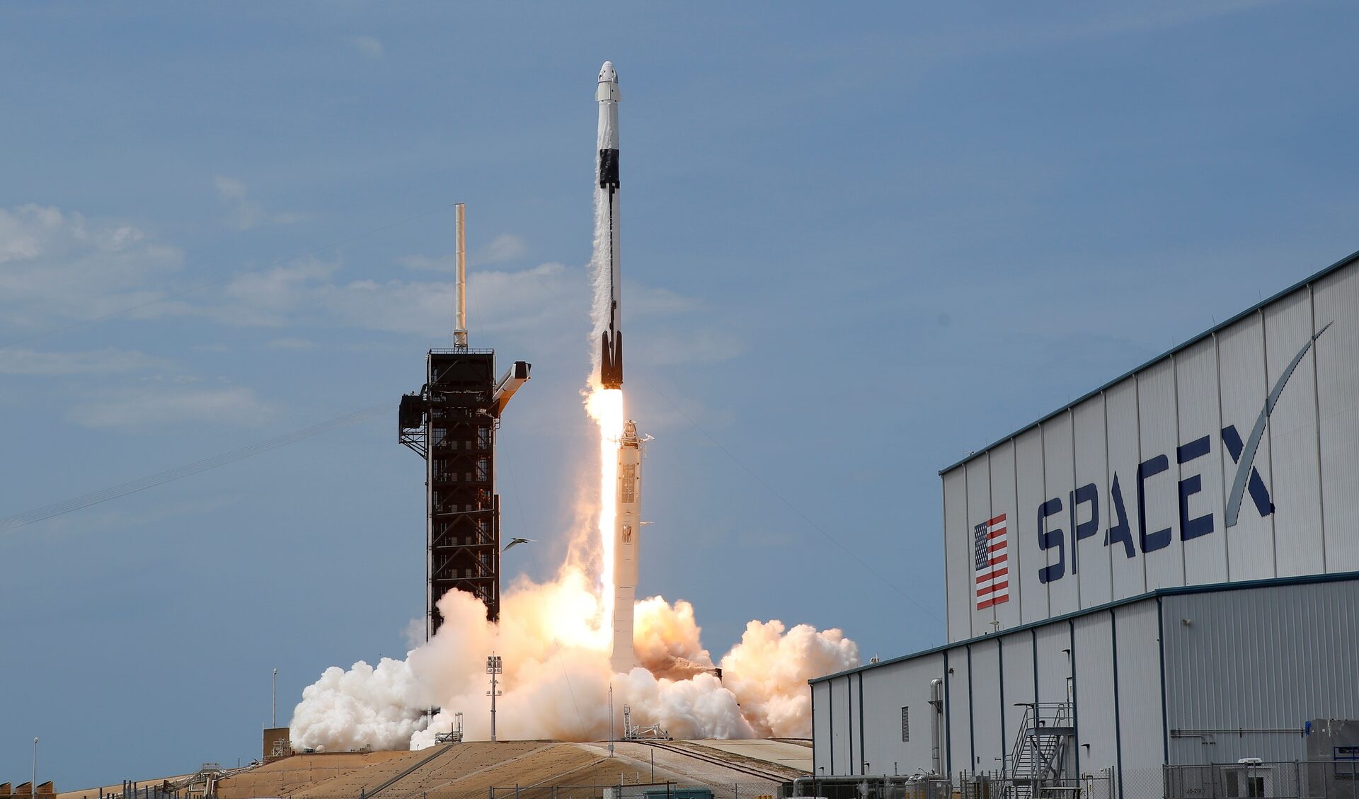Elon Musk ảnh 4