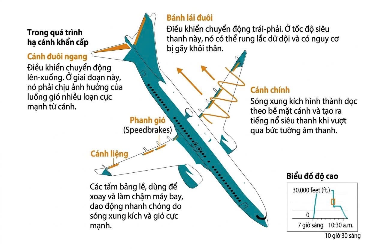 Boeing 737 MAX ảnh 3