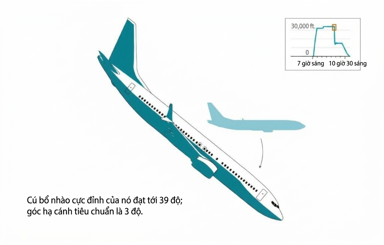 Boeing 737 MAX ảnh 2