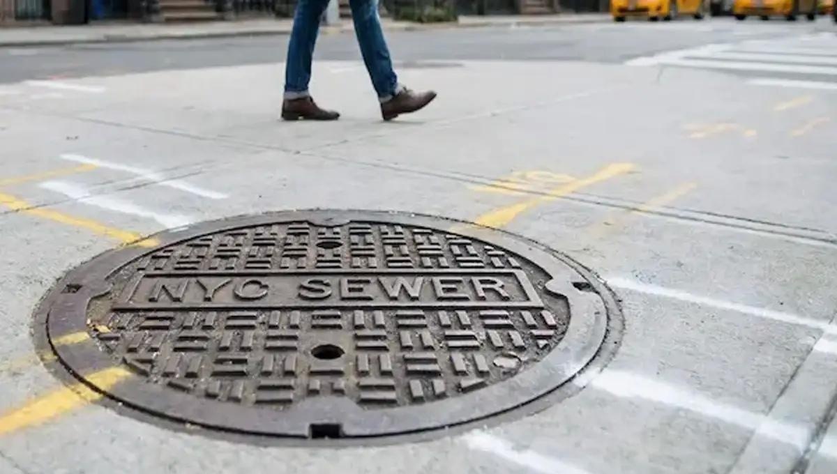 New York ảnh 3