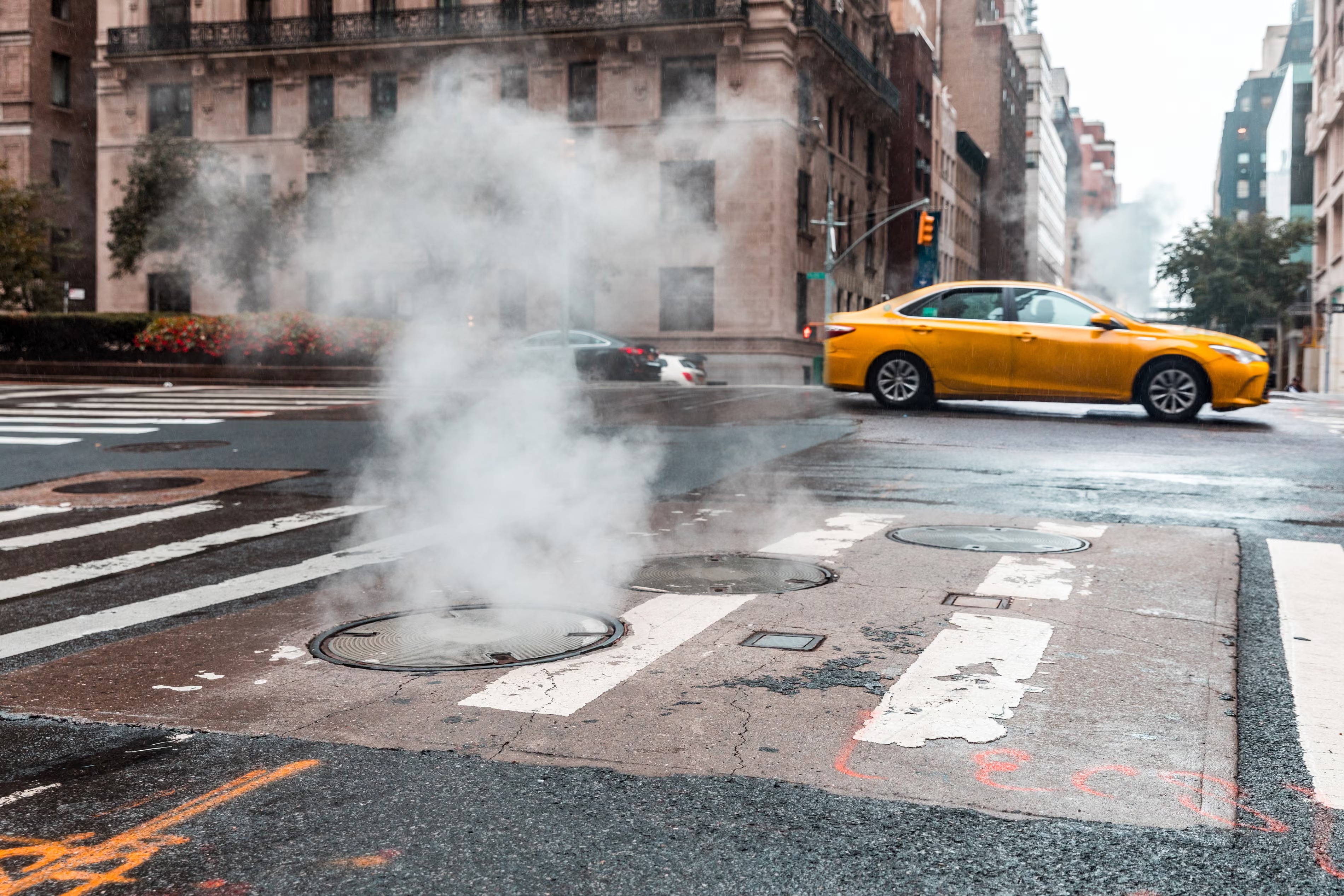 New York ảnh 1