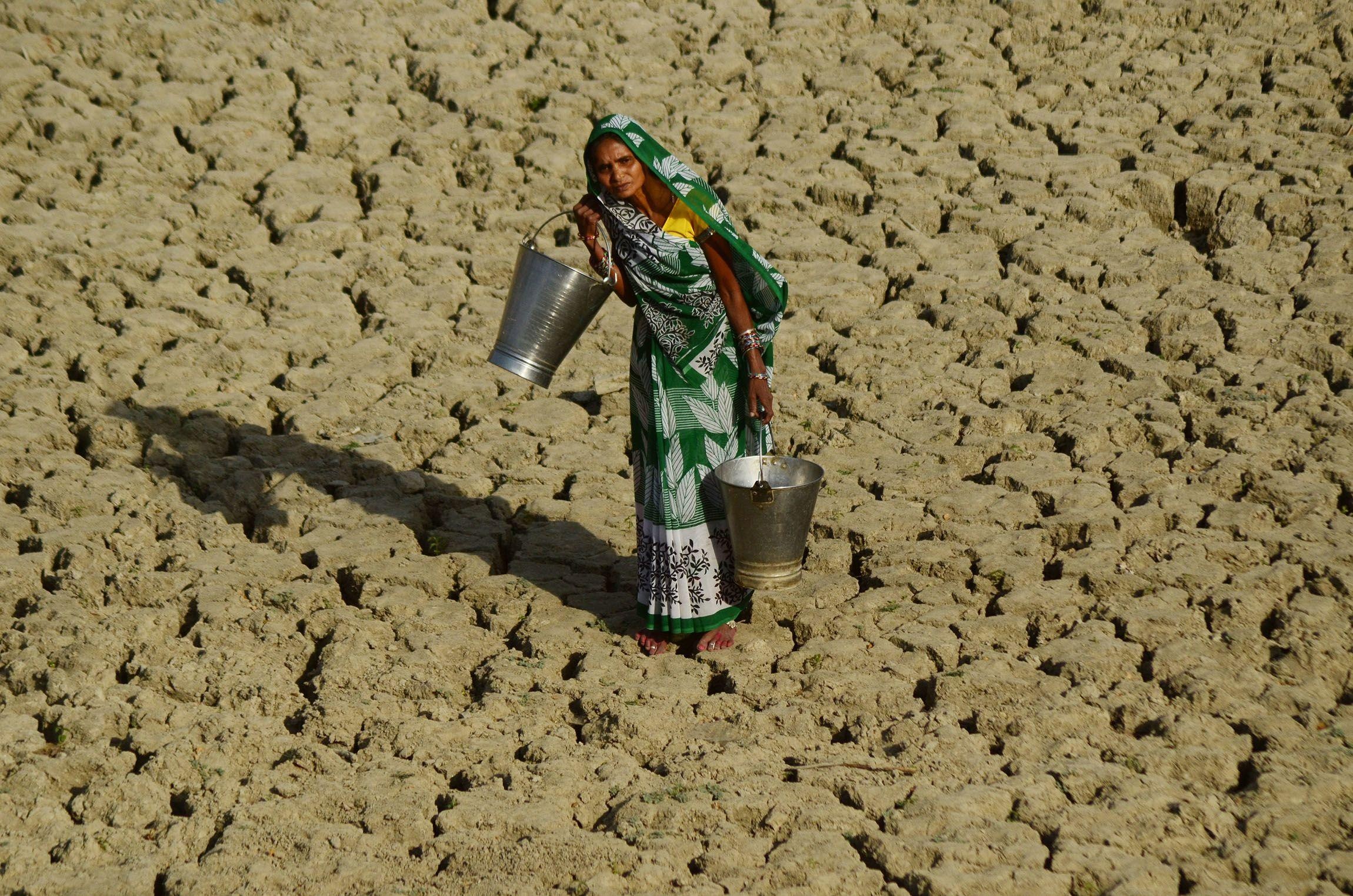 si&ecirc;u El Nino ảnh 1