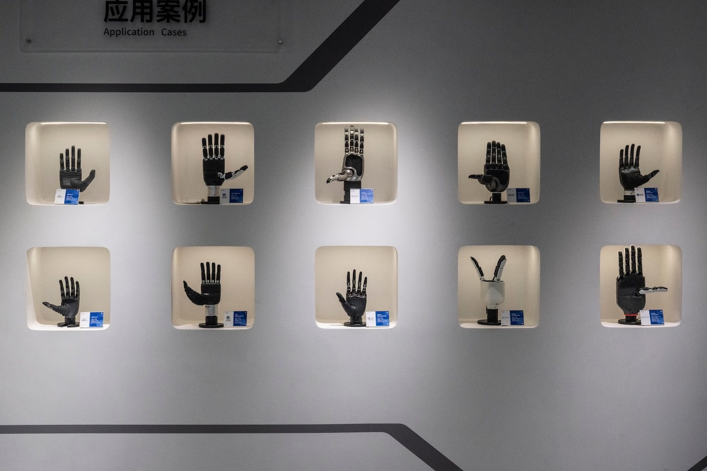 AI ảnh 5