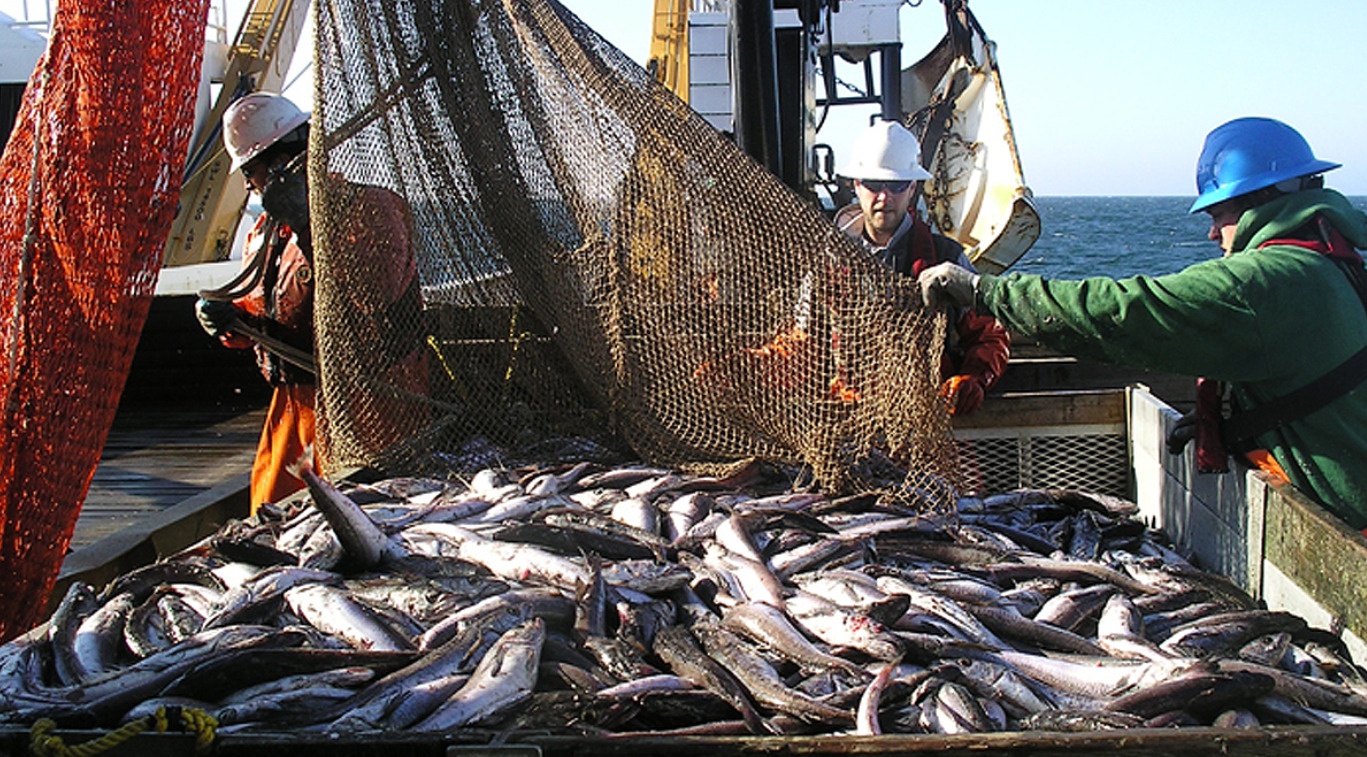 Chuỗi cung ứng thủy sản trước nguy cơ đứt gãy vì El Nino