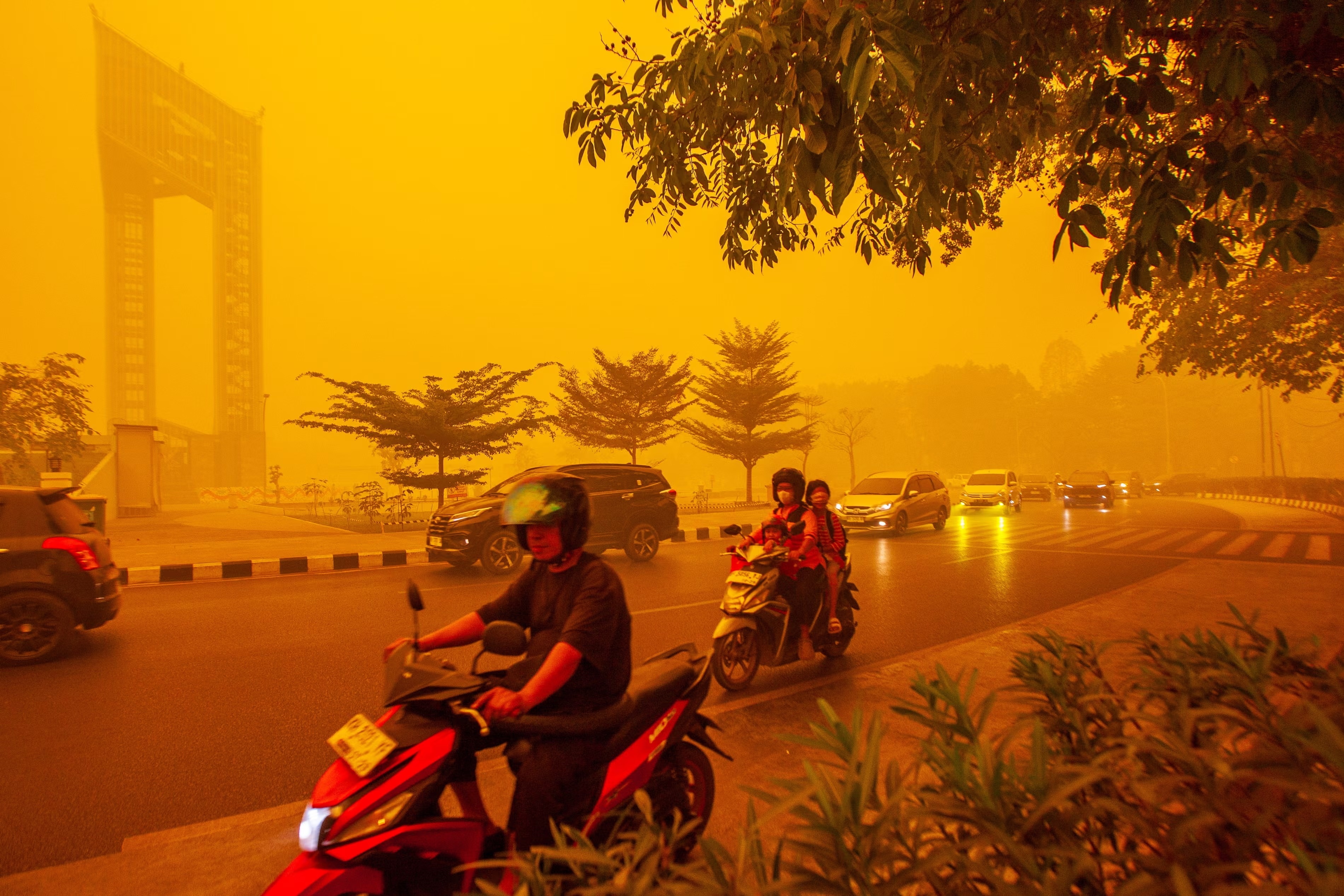 Vì sao cháy rừng ở Indonesia lại đe dọa cả Đông Nam Á?