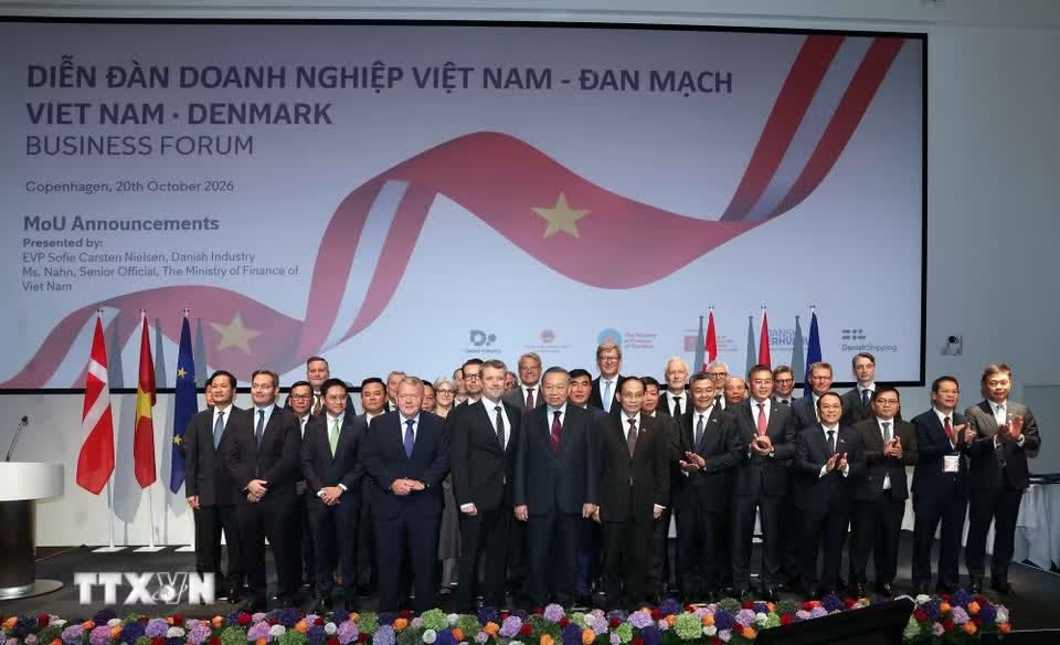 Đan Mạch ảnh 7